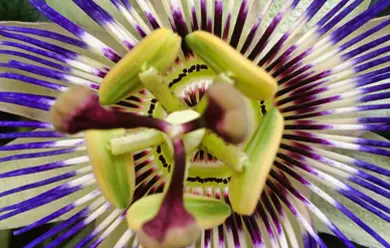 Illustration conceptuelle Internetting et Data